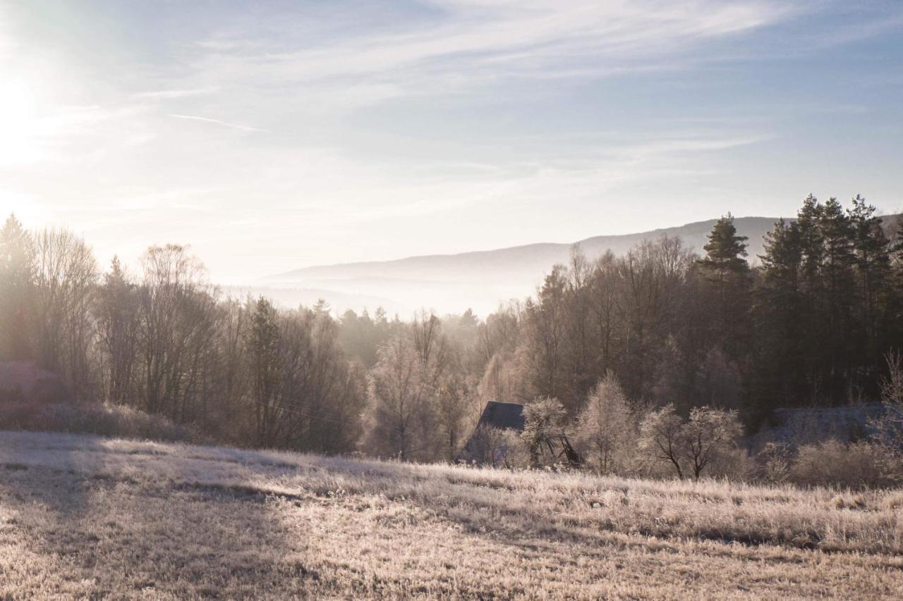 Apartmán Casa Del Fasa Polanica-Zdrój Exteriér fotografie